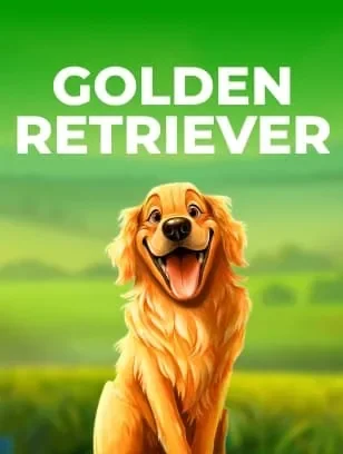 Golden Retriever par Pragmatic Play - nouveautés